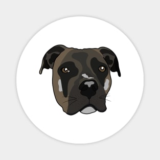 Staffordshire bull terrier Magnet